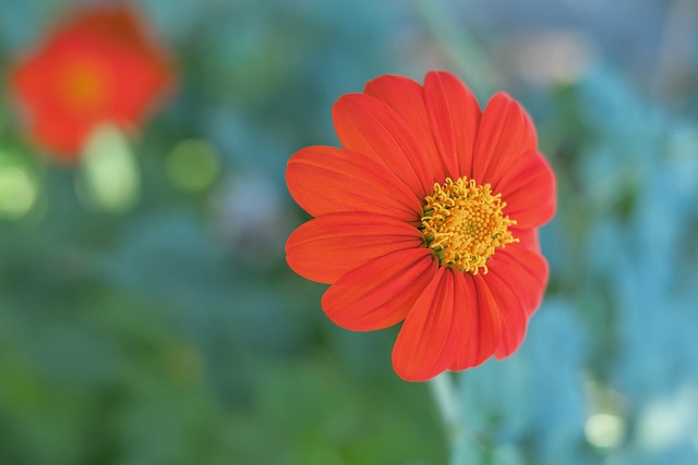 全队在这一 全队在这一